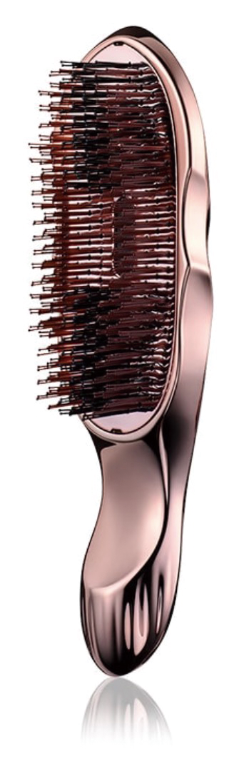 リファ ION CARE BRUSH プレミアム